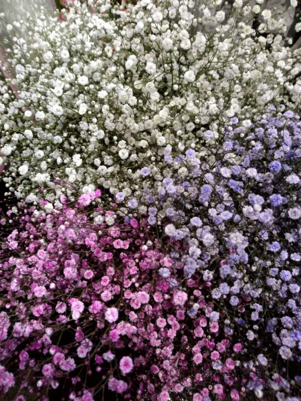 かすみ草が美しい 渋谷区恵比寿駅前の花屋 深夜も営業 Hana華林 ハナカリン